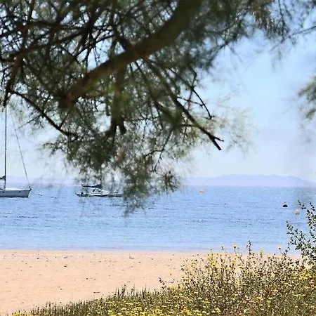 Apartamento Le Rivage - A 50m De La Des Salins - Piscine Hyères