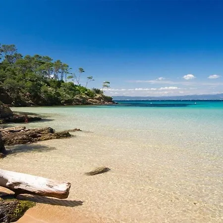 Le Rivage - A 50m De La Des Salins - Piscine *
