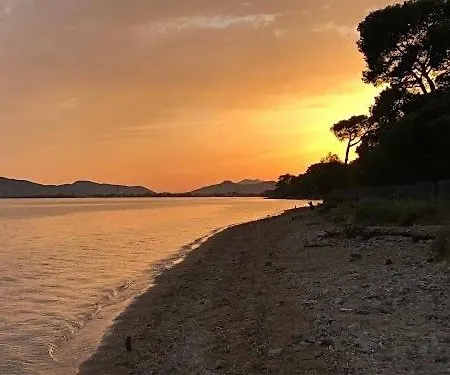 Apartamento Le Rivage - A 50m De La Des Salins - Piscine