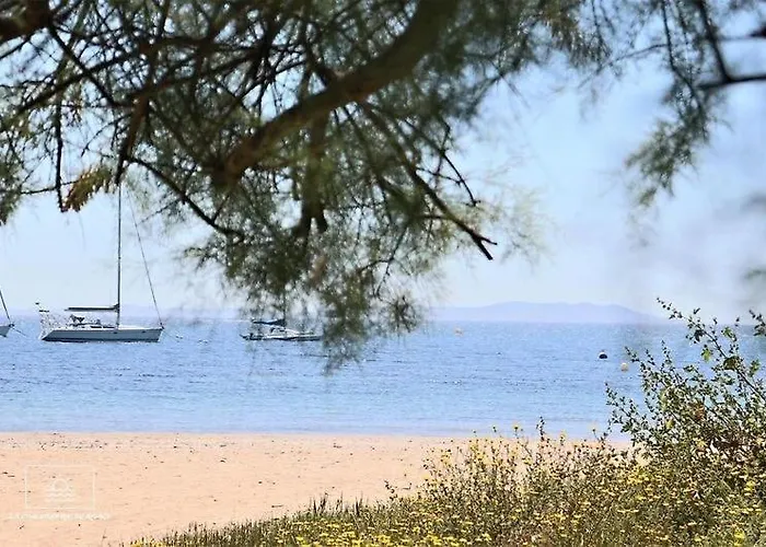 Lejlighed Le Rivage - A 50m De La Des Salins - Piscine Hyères