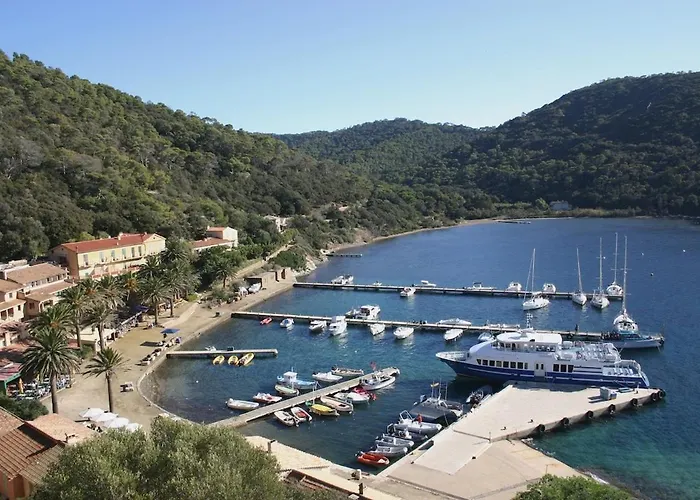 Lejlighed Le Rivage - A 50m De La Des Salins - Piscine Hyères
